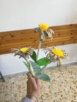 ***Decorazione floreale***
Decorazione floreale realizzata con rotoli di carta igienica, avanzi di ritagli di feltro e cartoncini e fogli di giornale